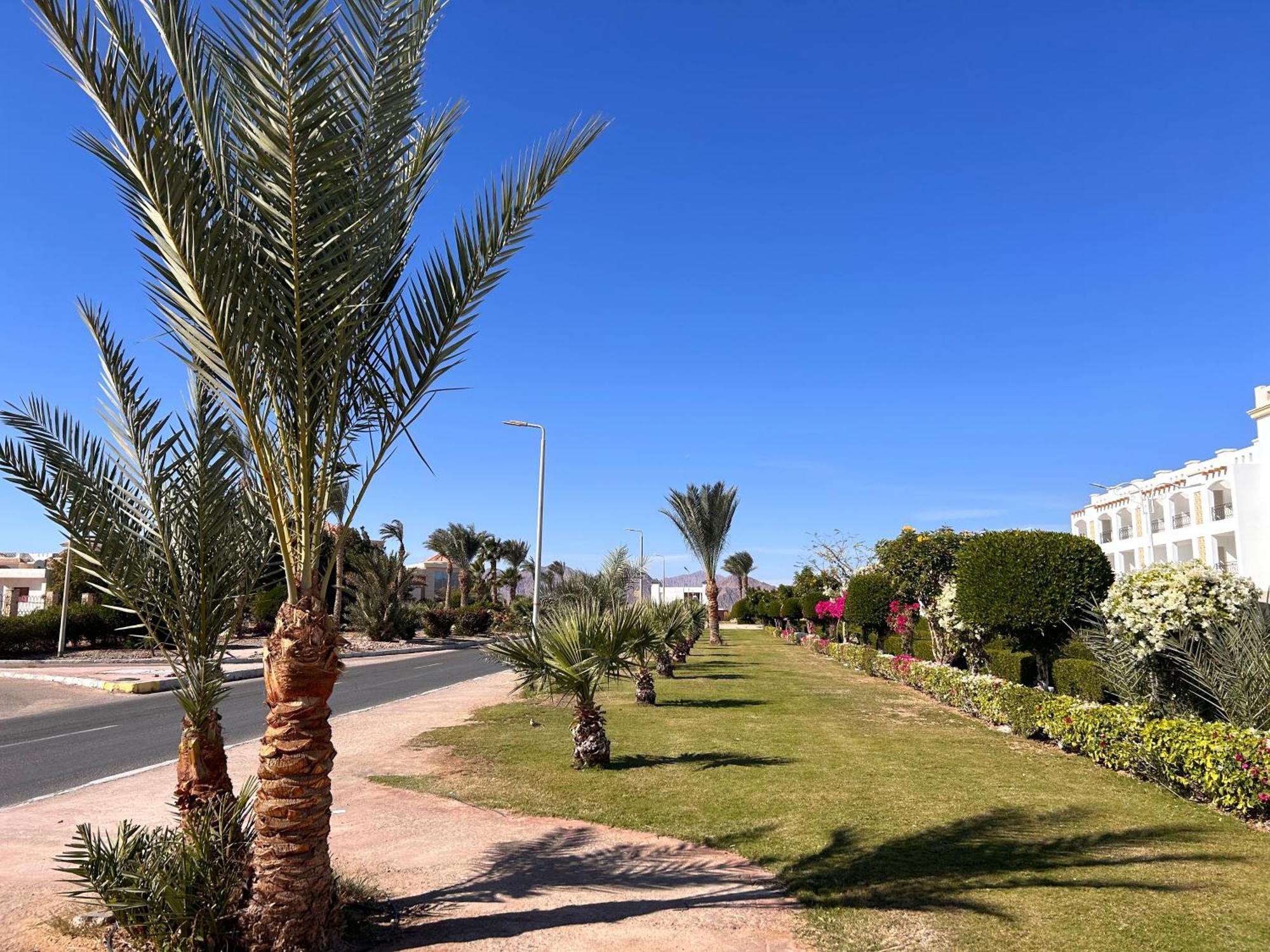 Cosy Studio On The First Floor With Lovely Terrace And Personal Garden Area, Pool View And Free Beach Access In Sharm Hills Resort Dış mekan fotoğraf